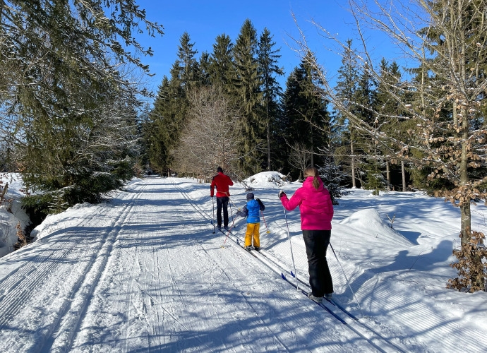 Zwei Erwachsene und ein Kind in bunter Winterkleidung beim Langlaufen auf einer verschneiten Waldloipe unter blauem Himmel.